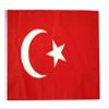 12x18 12"x18" Turkey Sleeve Flag Boat Car Garden