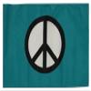 12x18 12"x18" Peace Symbol Teal Sleeve Flag Boat Car Garden
