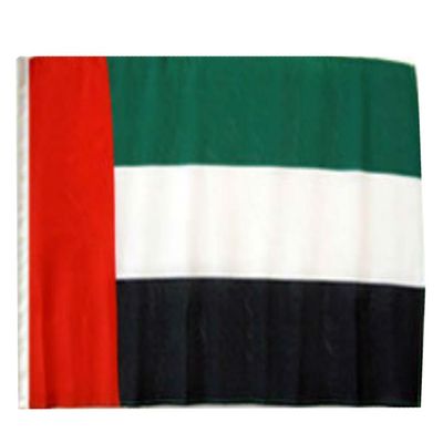 12x18 12"x18" United Arab Emirates Sleeve Flag Boat Car Garden
