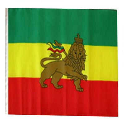 12x18 12"x18" Ethiopia Lion Sleeve Flag Boat Car Garden (premium polyester)