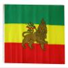12x18 12"x18" Ethiopia Lion Sleeve Flag Boat Car Garden (premium polyester)