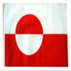 12x18 12"x18" Greenland Sleeve Flag Boat Car Garden