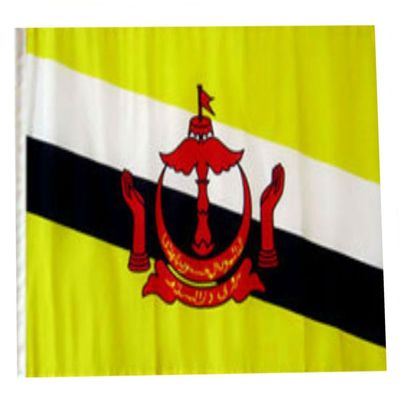 12x18 12"x18" Brunei Sleeve Flag Boat Car Garden