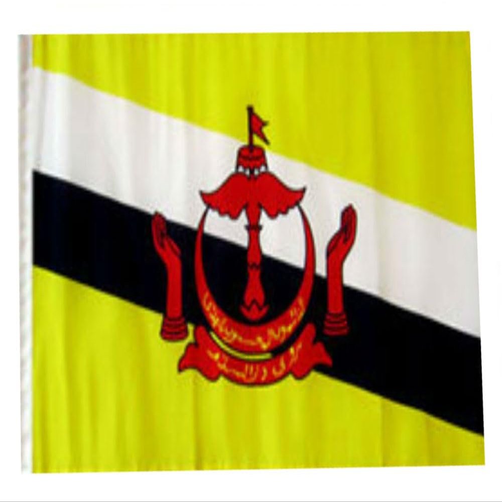 12x18 12"x18" Brunei Sleeve Flag Boat Car Garden