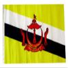 12x18 12"x18" Brunei Sleeve Flag Boat Car Garden view 1
