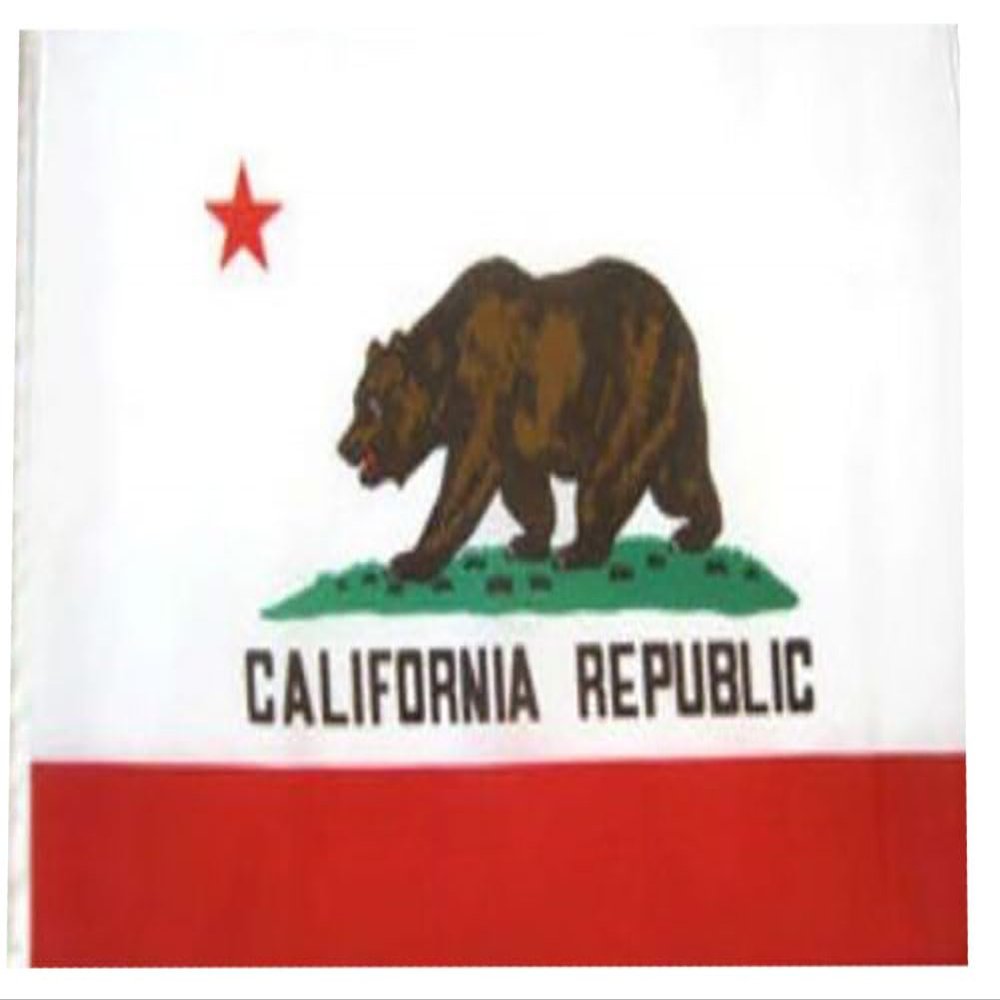 12x18 12"x18" State of California SuperPoly Boat Car Flag (sleeve)