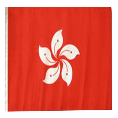 12x18 12"x18" Hong Kong Sleeve Flag Boat Car Garden