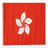 12x18 12"x18" Hong Kong Sleeve Flag Boat Car Garden