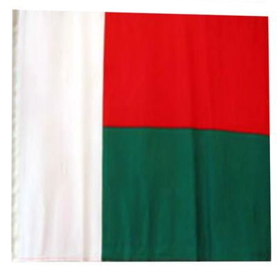 12x18 12"x18" Madagascar Sleeve Flag Boat Car Garden