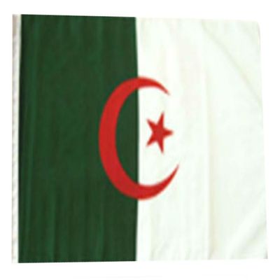 12x18 12"x18" Algeria Algerian Sleeve Flag Boat Car Garden