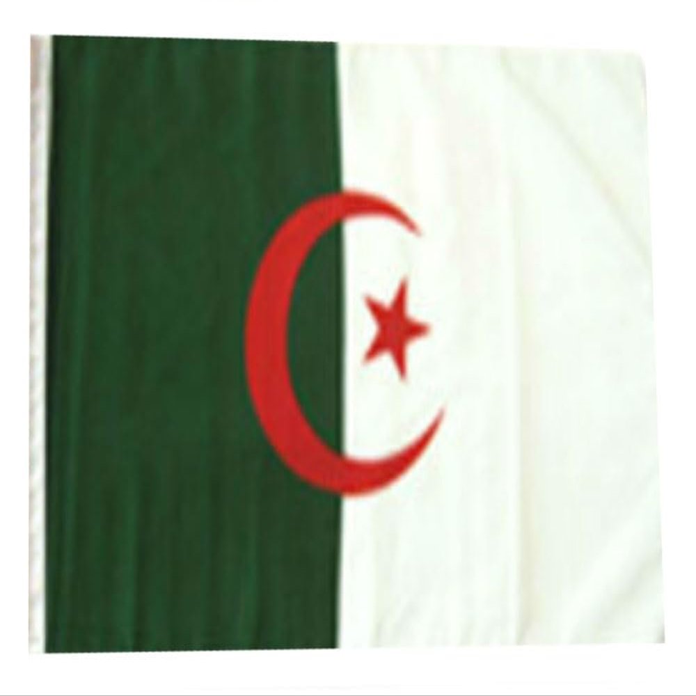 12x18 12"x18" Algeria Algerian Sleeve Flag Boat Car Garden