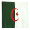12x18 12"x18" Algeria Algerian Sleeve Flag Boat Car Garden view 1