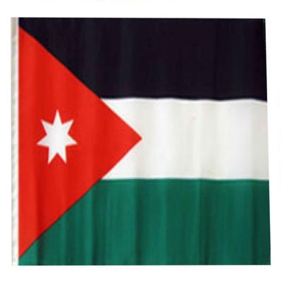12x18 12"x18" Jordan Sleeve Flag Boat Car Garden