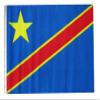 12x18 12"x18" Congo Democratic Republic Sleeve Flag Boat Car Garden