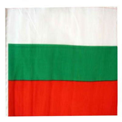 12x18 12"x18" Bulgaria Sleeve Flag Boat Car Garden