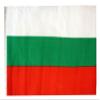 12x18 12"x18" Bulgaria Sleeve Flag Boat Car Garden view 1