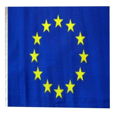 12x18 12"x18" European Union Sleeve Flag Boat Car Garden