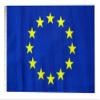 12x18 12"x18" European Union Sleeve Flag Boat Car Garden