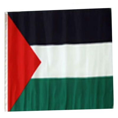 12x18 12"x18" Palestine Sleeve Flag Boat Car Garden