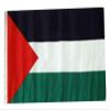12x18 12"x18" Palestine Sleeve Flag Boat Car Garden