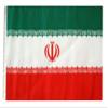 12x18 12"x18" Iran Sleeve Flag Boat Car Garden