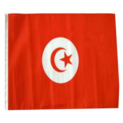 12x18 12"x18" Tunisia Sleeve Flag Boat Car Garden