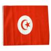 12x18 12"x18" Tunisia Sleeve Flag Boat Car Garden