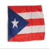 12x18 12"x18" Puerto Rico Sleeve Flag Boat Car Garden