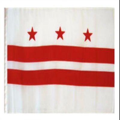 12x18 12"x18" State of Washington DC Sleeve Flag Boat Car Garden