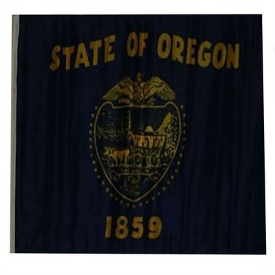 12x18 12"x18" State of Oregon 2ply Double Sided Sleeve Flag Boat Car Garden