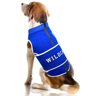 NCAA Kentucky Wildcats Dog Anxiety Shirt Calming Soothing Vest for Dogs Cats with Anxiety, Fears, Fireworks, Loud Noises, Dark, Lonely Keeps Dogs Calm & Feeling Safe, Relaxing Jacket, Large