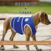 NCAA Kentucky Wildcats Dog Anxiety Shirt Calming Soothing Vest for Dogs Cats with Anxiety, Fears, Fireworks, Loud Noises, Dark, Lonely Keeps Dogs Calm & Feeling Safe, Relaxing Jacket, Large view 3