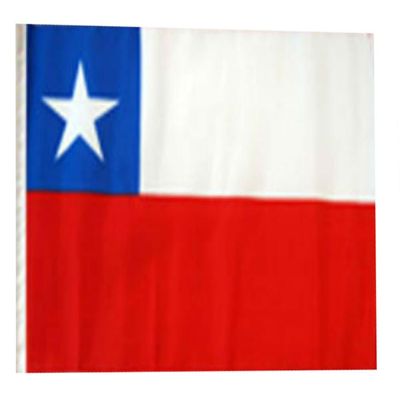 12x18 12"x18" Chile Sleeve Flag Boat Car Garden