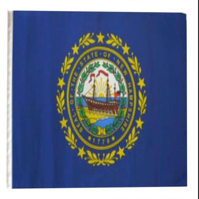 12x18 12"x18" State of New Hampshire Sleeve Flag Boat Car Garden