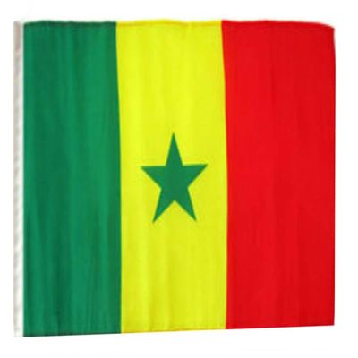 12x18 12"x18" Senegal Sleeve Flag Boat Car Garden