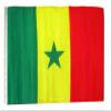 12x18 12"x18" Senegal Sleeve Flag Boat Car Garden