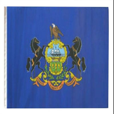 12x18 12"x18" State of Pennsylvania Sleeve Flag Boat Car Garden