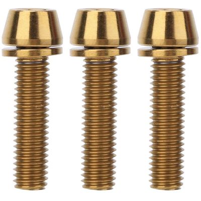 Bicycle Stem Bolts, 3PCS M5/M6x20 Titanium Alloy Fixing Screws for Mountain Bike Brake Caliper Bicycles Mtb Riding Accessories(M5*20 Gold)