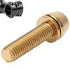 Bicycle Stem Bolts, 3PCS M5/M6x20 Titanium Alloy Fixing Screws for Mountain Bike Brake Caliper Bicycles Mtb Riding Accessories(M5*20 Gold) view 4