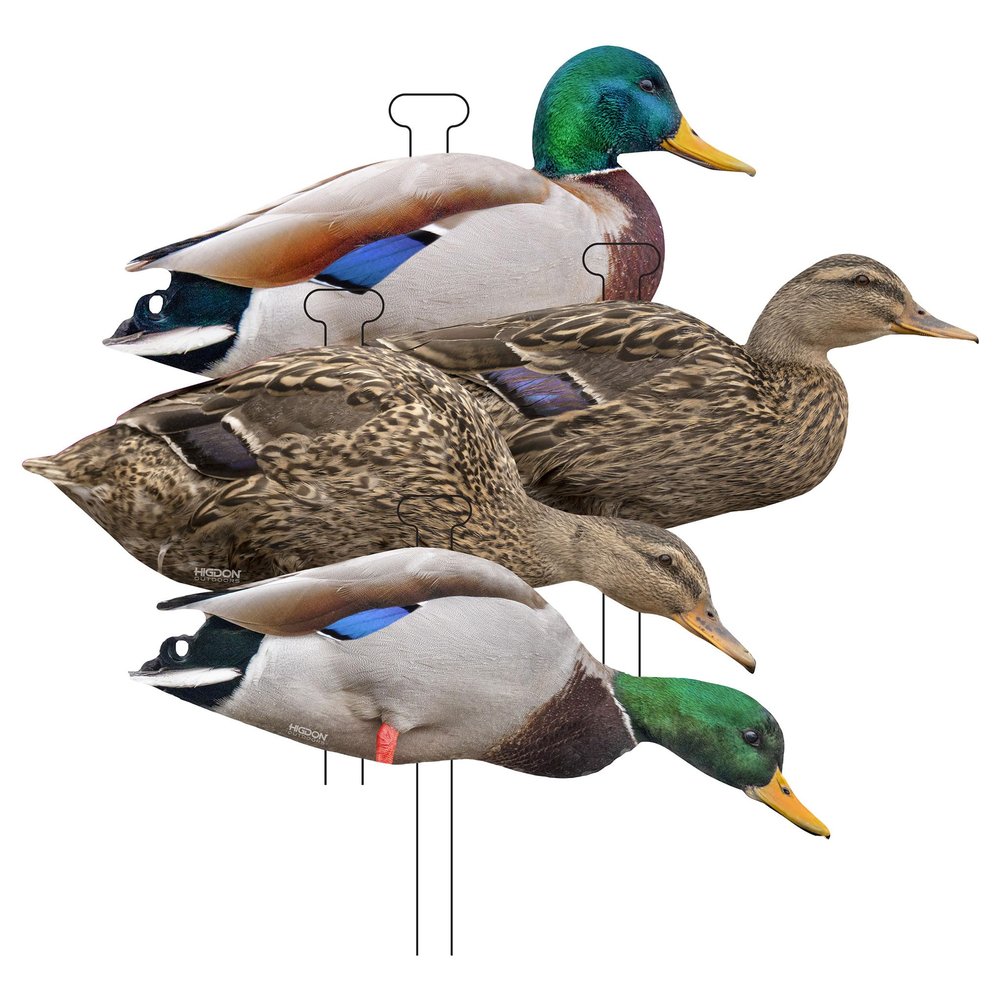 Higdon Outdoors Flats | Mallard Duck Standard Silhouette Decoys for Waterfowl Hunting | Realistic Lightweight Weather Resistant Drake & Hen Decoys with Easy Carry Stakes | Non-Flocked 12 Pack