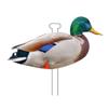 Higdon Outdoors Flats | Mallard Duck Standard Silhouette Decoys for Waterfowl Hunting | Realistic Lightweight Weather Resistant Drake & Hen Decoys with Easy Carry Stakes | Non-Flocked 12 Pack view 3