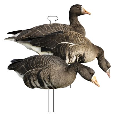 Higdon Outdoors Flats | Specklebelly Standard Silhouette Decoys for Waterfowl Hunting | Lightweight Weather Resistant Goose Decoys with Easy Carry Stakes | Non-Flocked 12 Pack