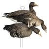 Higdon Outdoors Flats | Specklebelly Standard Silhouette Decoys for Waterfowl Hunting | Lightweight Weather Resistant Goose Decoys with Easy Carry Stakes | Non-Flocked 12 Pack view 1
