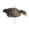 Higdon Outdoors Flats | Specklebelly Standard Silhouette Decoys for Waterfowl Hunting | Lightweight Weather Resistant Goose Decoys with Easy Carry Stakes | Non-Flocked 12 Pack view 3