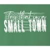 XX-Large Kelly Green Mens USA American Flag Try That in A Small Town T-Shirt view 4