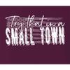XX-Large Maroon Mens USA American Flag Try That in A Small Town T-Shirt view 4
