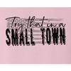 4X-Large Pink Mens USA American Flag Try That in A Small Town T-Shirt view 4