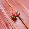 Southst Pumpkin Handles 40mm Cabinet Knobs Single Hole Wardrobe Closet Cupboard Drawer Pulls Furniture Hardware - (Color: C) view 1