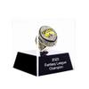 2023 Fantasy Football Championship Ring | Heavy FFL Champion Ring | Gold Silver Tone Plated Award Trophy for Fantasy Football League Winner (14, Ring and case Together) view 1