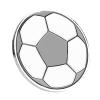 Alloy Soccer Toss Coin for Referees, Sturdy and Wearproof Football Flip Coin with Case view 3